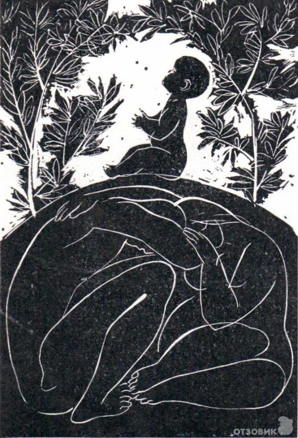 Книга Слепой музыкант - Владимир Короленко фото