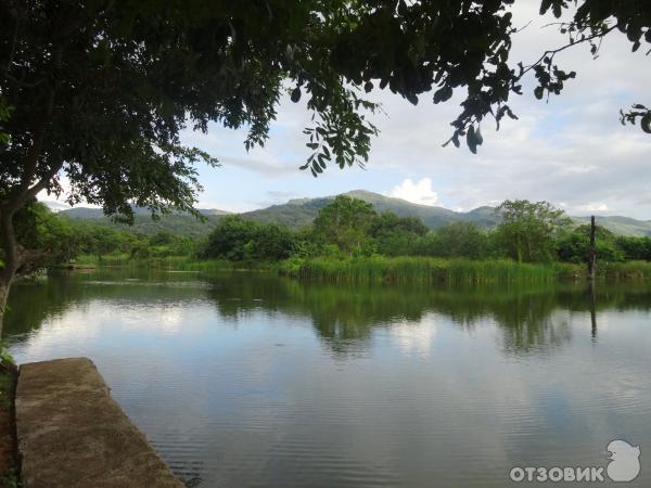 Отель MPS Village 3* (Шри-Ланка, Дамбулла) фото