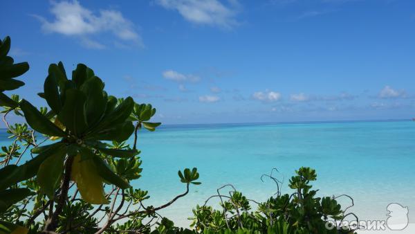 Вид с пляжа Ocean View на Sun Island (Мальдивы)