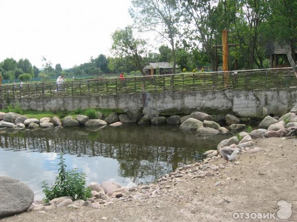 Агротуристический комплекс Коробчицы (Беларусь, Гродненская область) фото