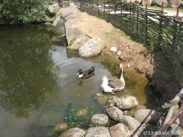 Агротуристический комплекс Коробчицы (Беларусь, Гродненская область) фото