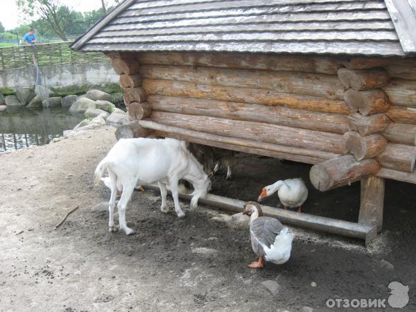 Агротуристический комплекс Коробчицы (Беларусь, Гродненская область) фото