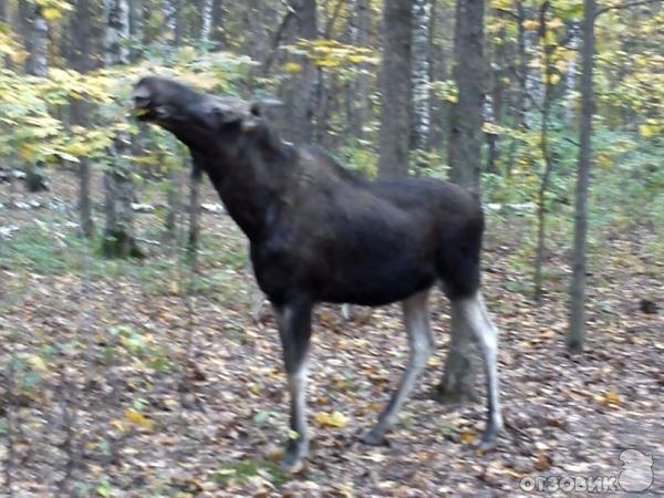 Экскурсия по городу Королев (Россия, Московская область) фото