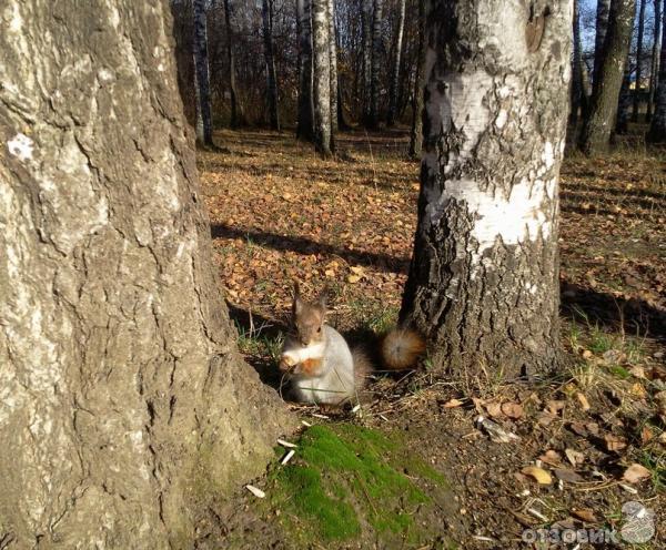 Экскурсия по городу Королев (Россия, Московская область) фото