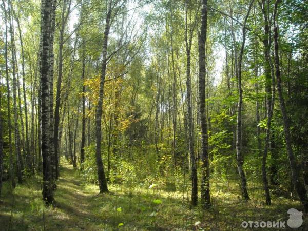 Экскурсия по городу Королев (Россия, Московская область) фото