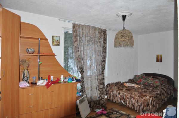 Коттедж Мельница на речке Черной (Россия, Ленинградская область) фото