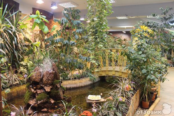 Сад тропических бабочек миндо в санкт-петербурге. Сад живых тропических бабочек "миндо". Сад живых бабочек в санкт-петербурге миндо. Миндо санкт петербург. Музей живых бабочек тропический рай.