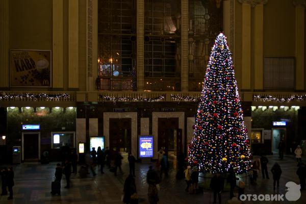 Объектив Nikon 50mm f/1.8D AF Nikkor фото