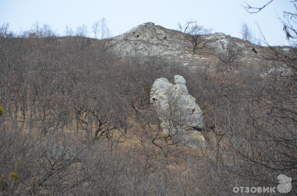 Скала 