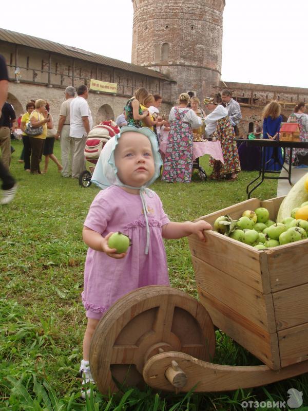 Яблочный спас славянские народные праздники. Яблочный спас Болхов. Русский народный праздник яблочный спас. Яблочный спас в церкви. Яблочный Спаси Церковь.