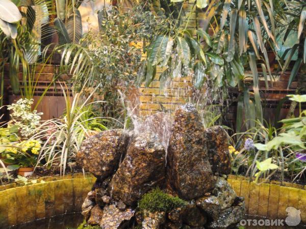 Тропический комплекс миндо. Миндо санкт петербург. Сад бабочек питерлэнд. Музей живых бабочек тропический рай в санкт-петербурге. Музей тропических бабочек миндо санкт петербург.