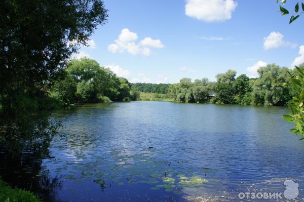 Ясная Поляна (Россия, Тульская область) фото