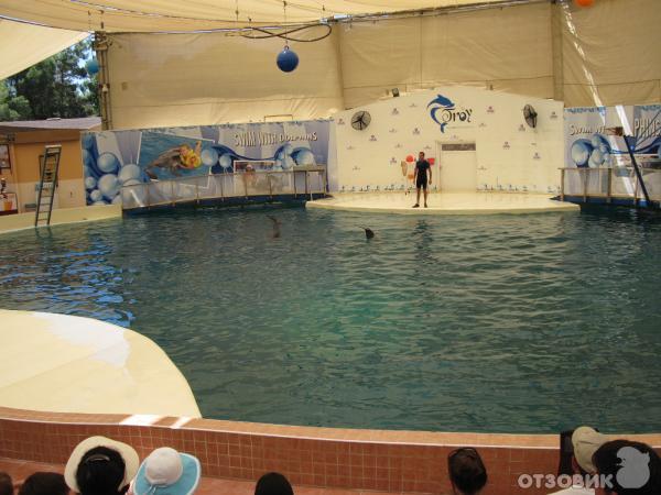 Дельфинарий Troy Aqua & Dolphinarium (Турция, Белек) фото