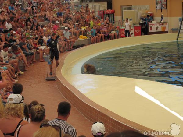 Дельфинарий Troy Aqua & Dolphinarium (Турция, Белек) фото