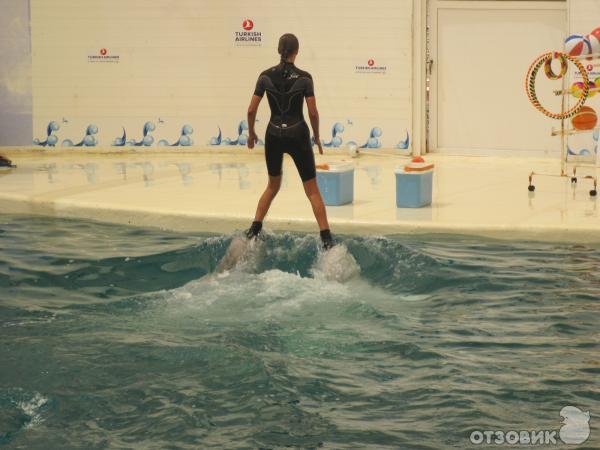 Дельфинарий Troy Aqua & Dolphinarium (Турция, Белек) фото