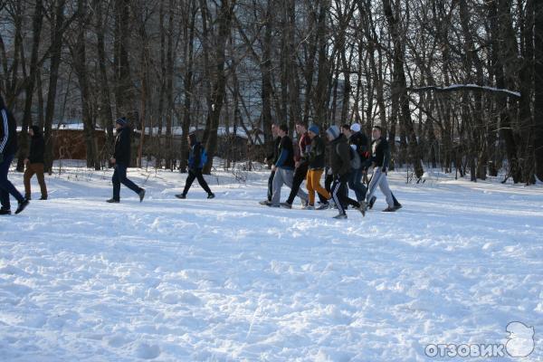 Лесопарк им 60летия Советской власти (Россия, Самара) фото