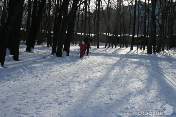 Лесопарк им 60летия Советской власти (Россия, Самара) фото