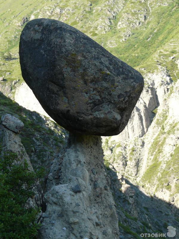 Каменные грибы на Алтае (Россия, Республика Алтай) фото