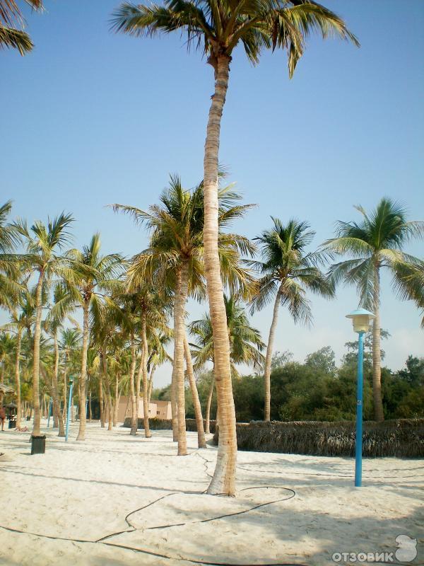 Пляж Jumeirah Beach Park (ОАЭ, Дубаи) фото