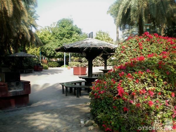 Пляж Jumeirah Beach Park (ОАЭ, Дубаи) фото