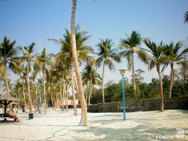 Пляж Jumeirah Beach Park (ОАЭ, Дубаи) фото