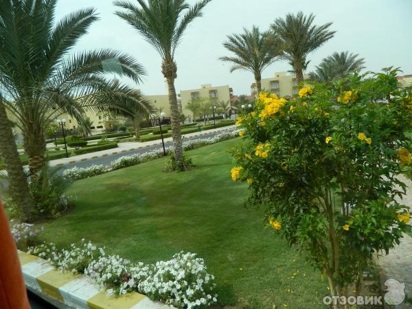 Отель Hilton Hurghada Long Beach Resort 4* (Египет, Хургада) фото