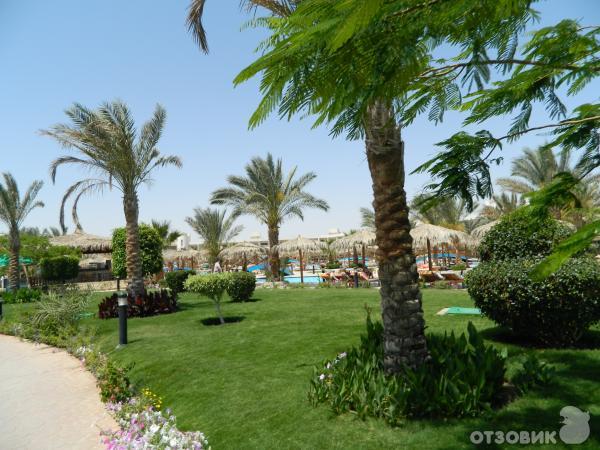 Отель Hilton Hurghada Long Beach Resort 4* (Египет, Хургада) фото