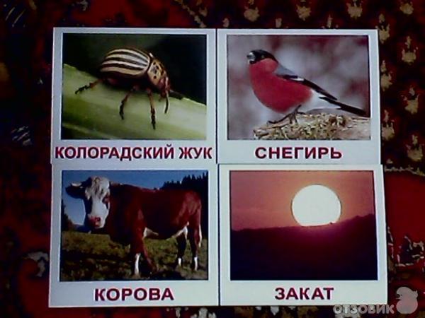 карточки
