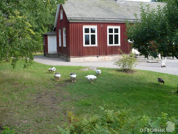 Музей Skansen (Швеция, Стокгольм) фото