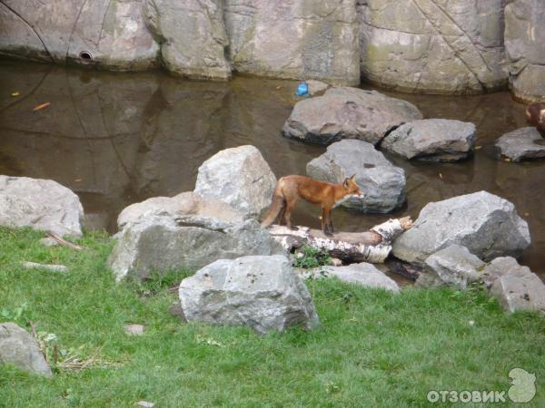 Музей Skansen (Швеция, Стокгольм) фото