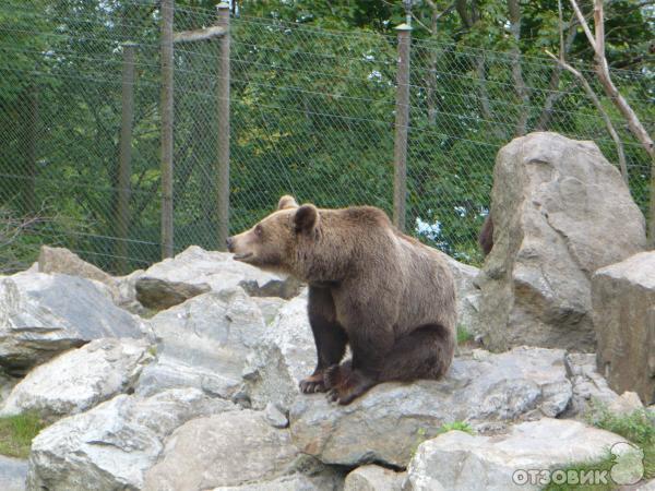 Музей Skansen (Швеция, Стокгольм) фото