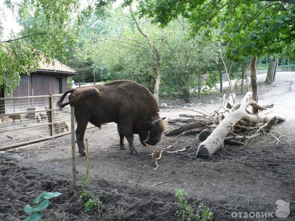 Музей Skansen (Швеция, Стокгольм) фото