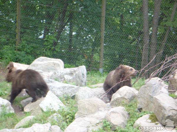 Музей Skansen (Швеция, Стокгольм) фото