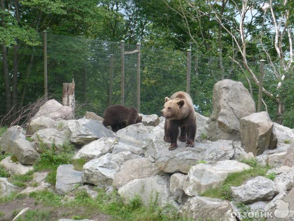 Музей Skansen (Швеция, Стокгольм) фото