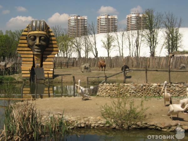 Купить Билет В Сафари Парк Краснодар