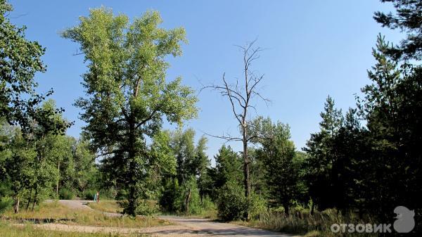 Турбаза Ветерок на полуострове Копылово (Россия, Тольятти) фото