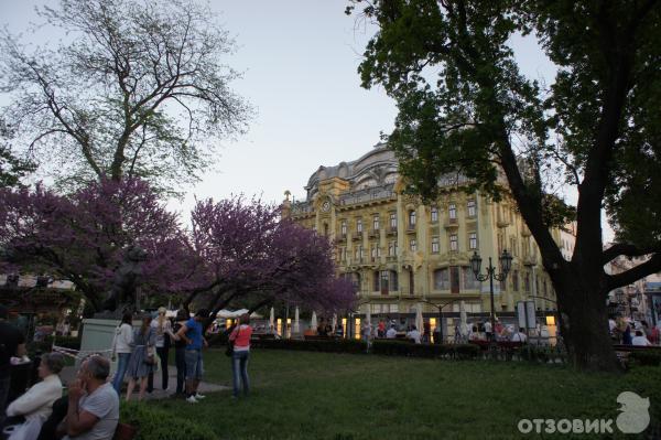 Экскурсия по г. Одесса (Украина) фото