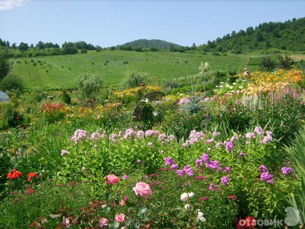 Питомник-дендрарий Цветущая долина (Россия, Алтайский край) фото