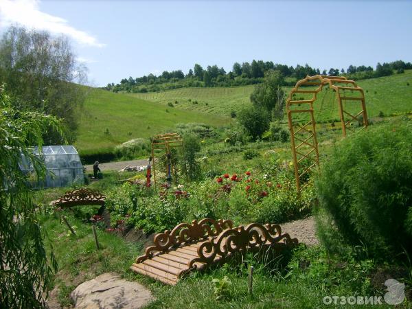 Питомник-дендрарий Цветущая долина (Россия, Алтайский край) фото