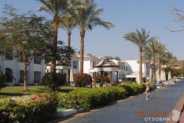 Отель Hilton Sharm Dreams Resort 5* (Египет, Шарм-эль-Шейх) фото