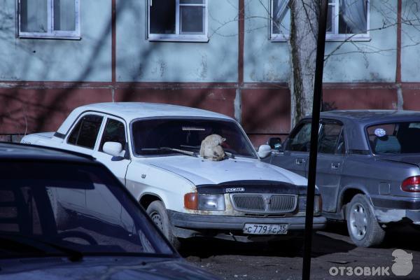 Объектив Canon EF-S 18-135mm f/3.5-5.6 IS фото