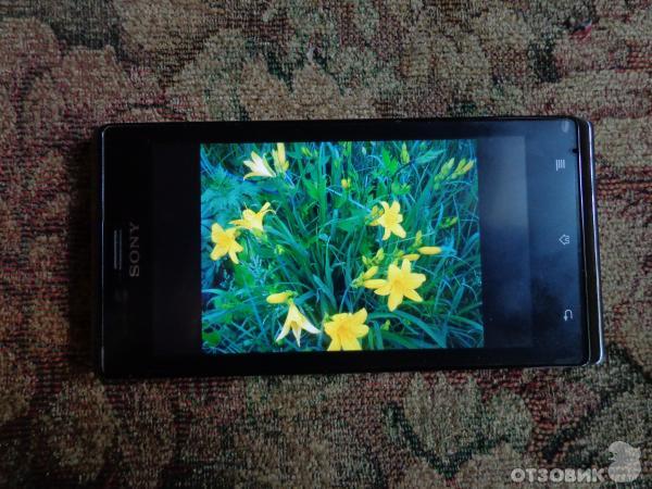 Сотовый телефон Sony Xperia J фото