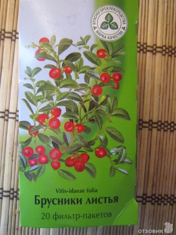 Брусника от отеков отзывы. Брусники листья Красногорсклексредства. Брусника лист. Брусничный лист в пакетах. Листья брусники от отеков.