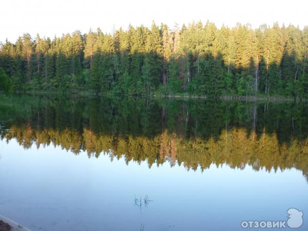 База отдыха Хатинь-Бор (Россия, озеро Селигер) фото