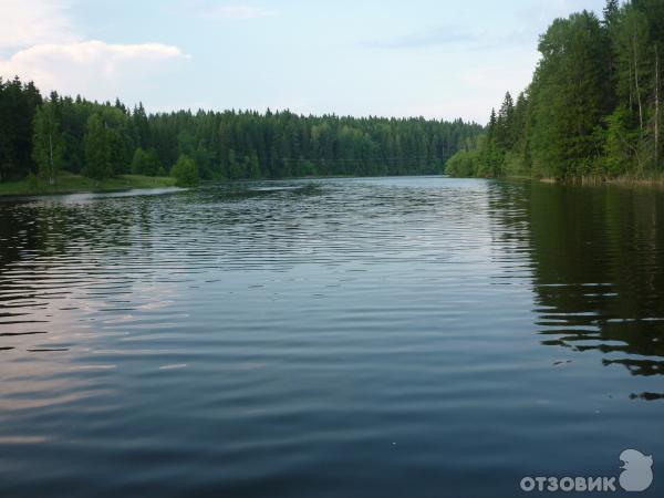 База отдыха Хатинь-Бор (Россия, озеро Селигер) фото