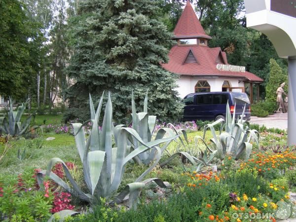 Сувенирная лавка возле бюветы с целебной водой