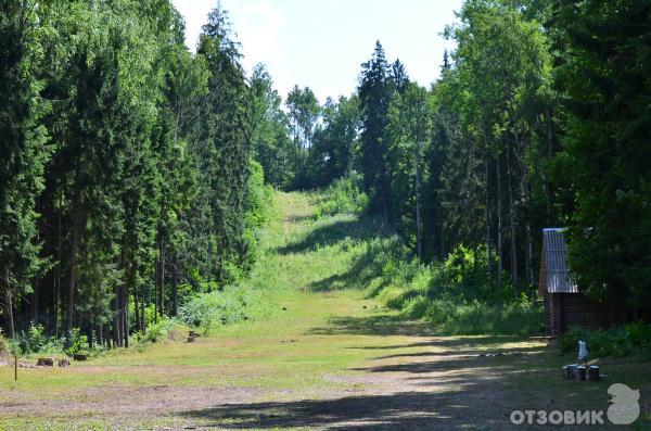 Санаторий Лесное (Беларусь, Витебская область) фото