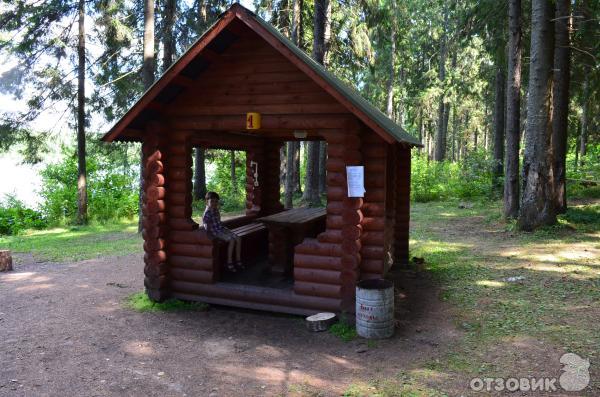 Санаторий Лесное (Беларусь, Витебская область) фото