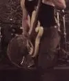 fender666