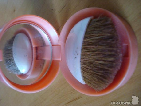 Румяна компактные Bourjois Paris Blush фото